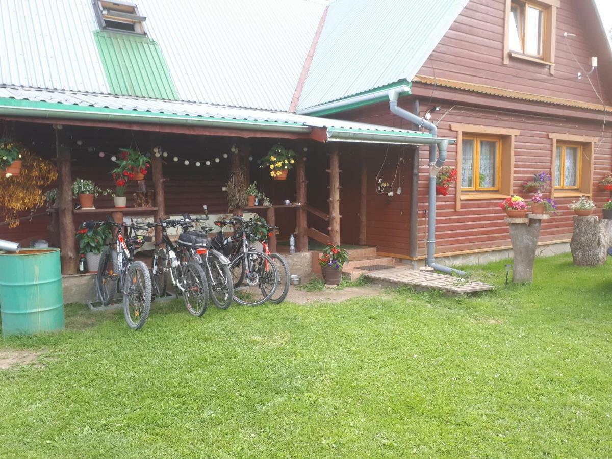 Olsik Apartment Bialowieza Exterior photo