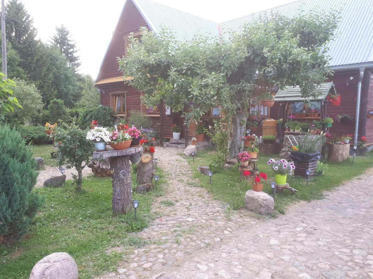 Olsik Apartment Bialowieza Exterior photo
